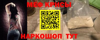 стаф Кинель