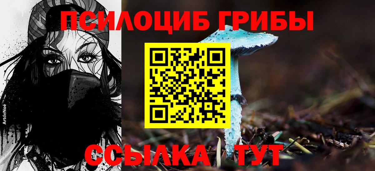 Псилоцибиновые грибы мухоморы  Вход с VPN  Кировск 