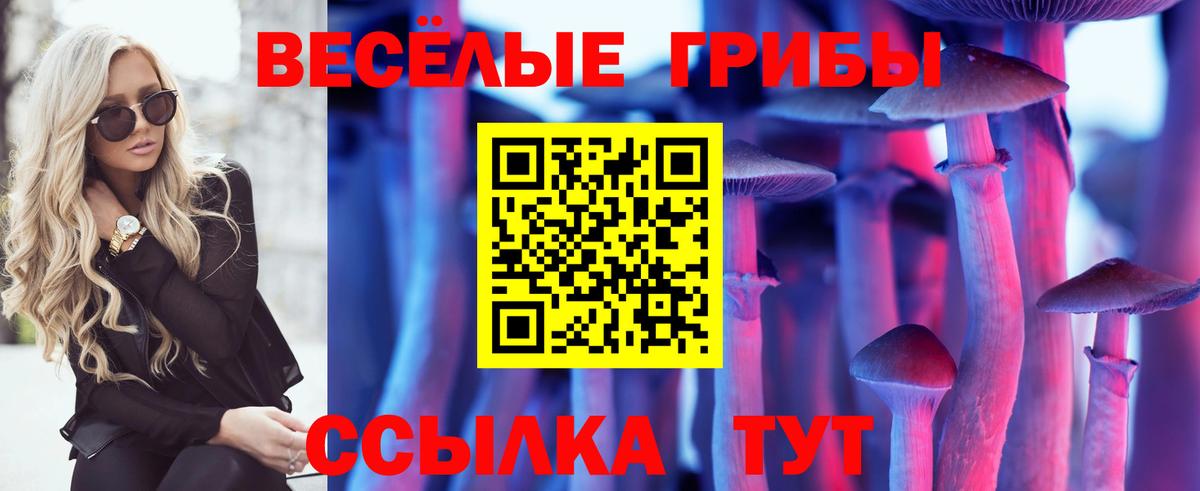Галлюциногенные грибы мухоморы Кировск